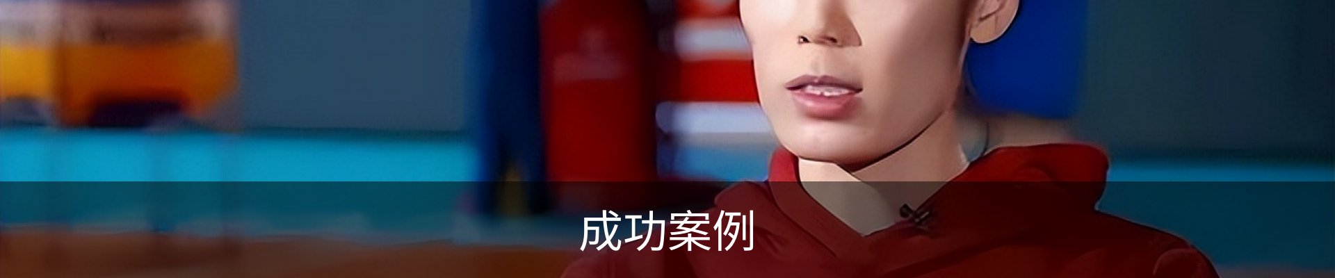 成功案例
